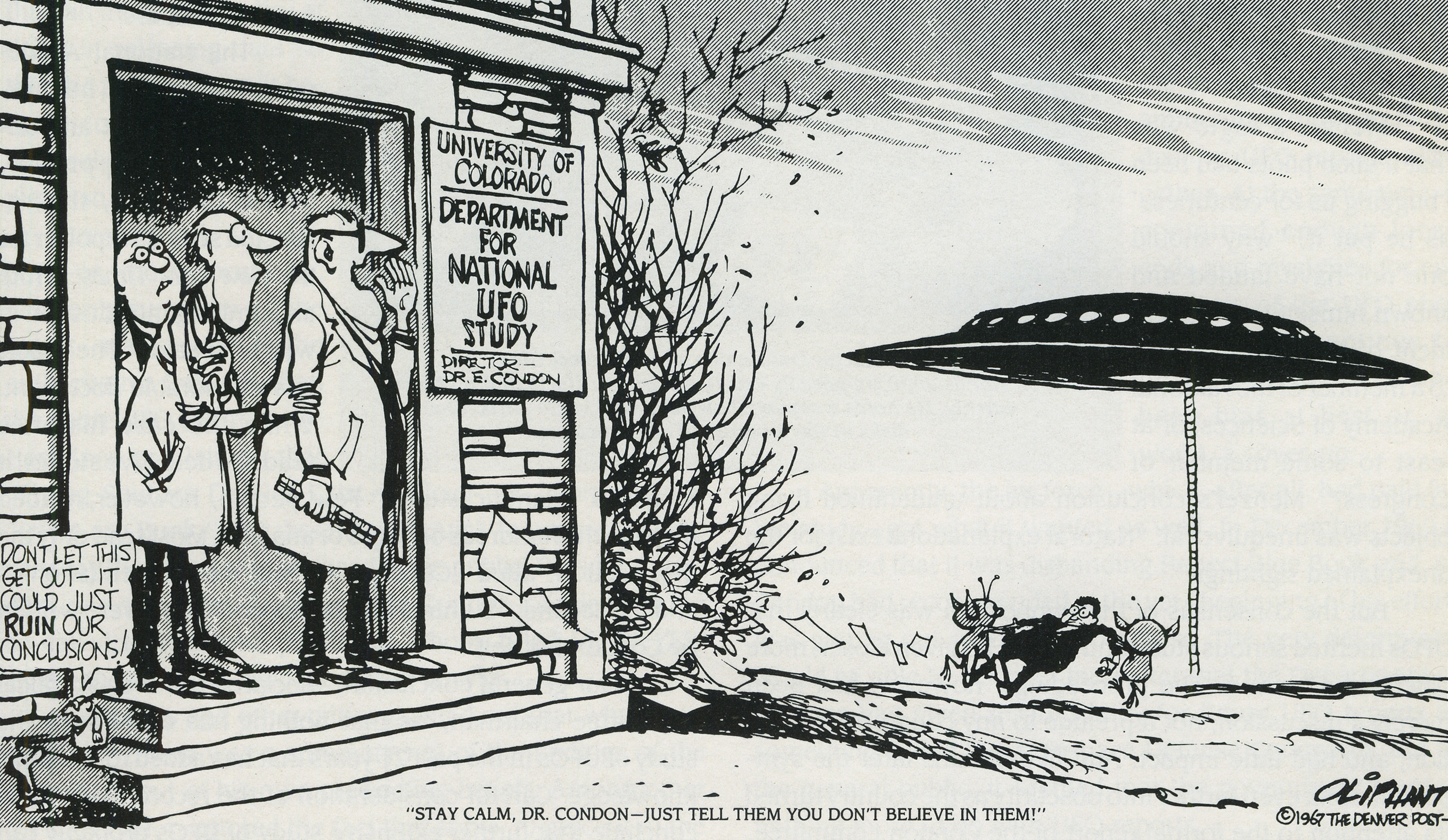 Vignetta su Condon addotto